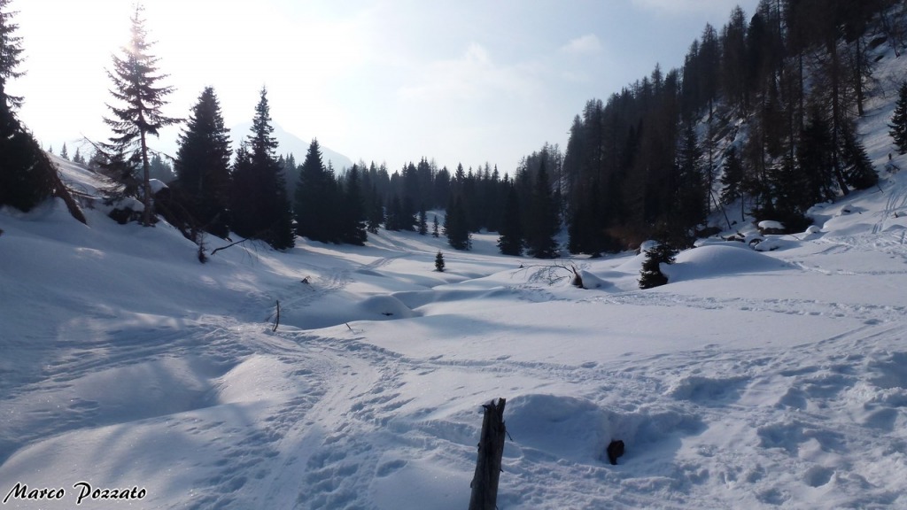 142917-p1130019-1280x768.jpg