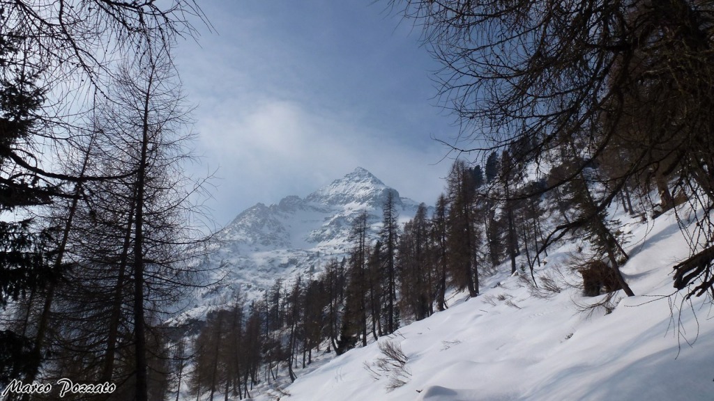 142921-p1130028-1280x768.jpg