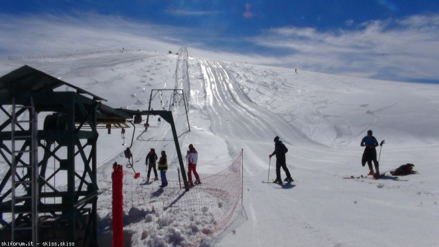 143790-staffi1-campostaffile2alpi.jpg