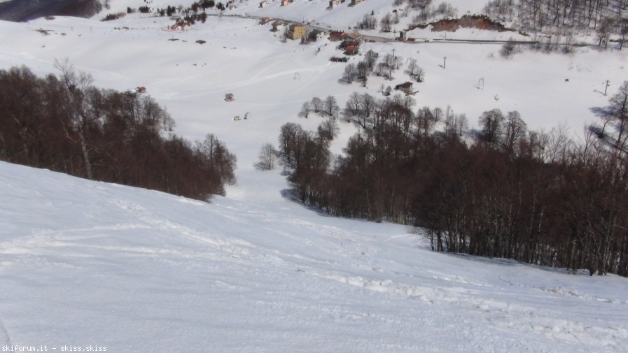 143816-staffi2-dsc06125071.jpg