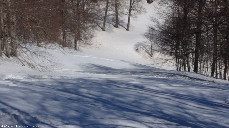 143817-staffi2-dsc06129072.jpg