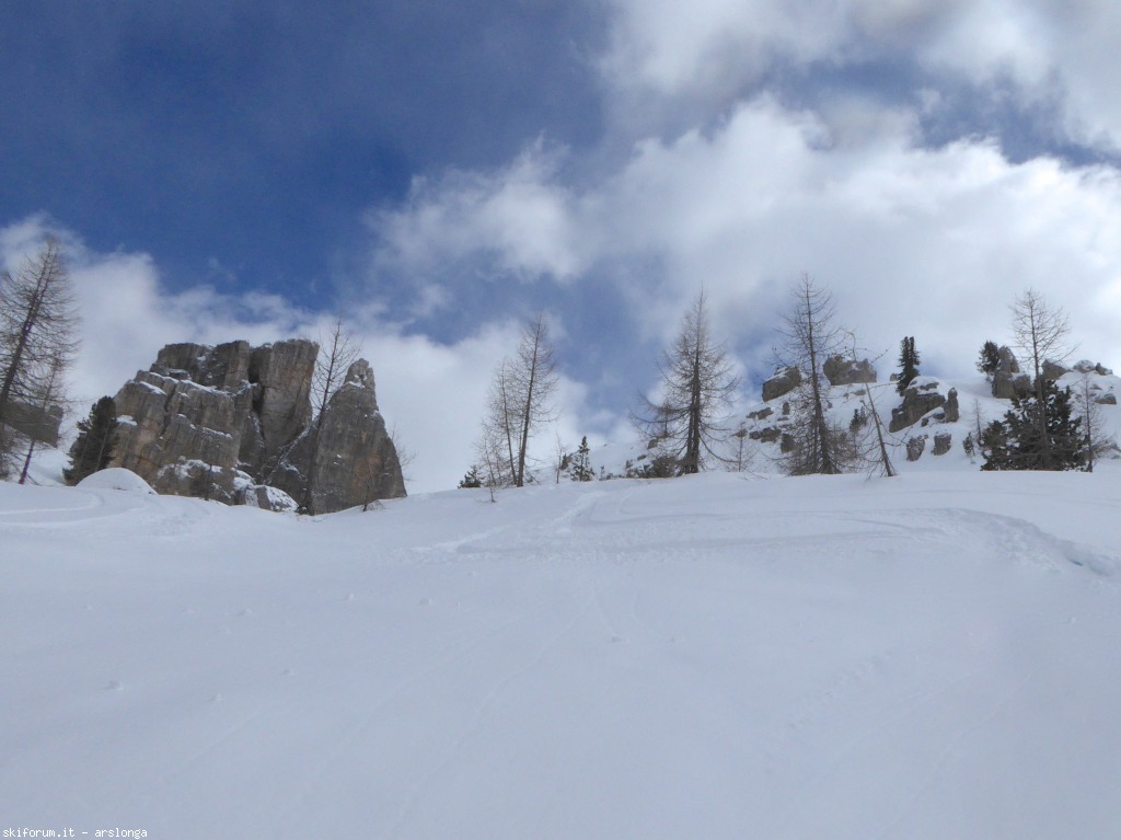 144185-p1030313.jpg