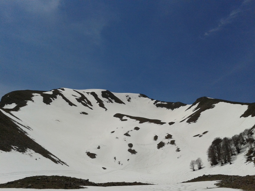 145672-305-20150503120513.jpg
