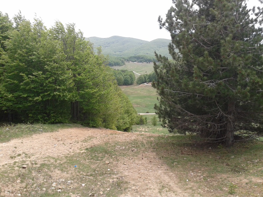 146169-wlf-20150516124702.jpg