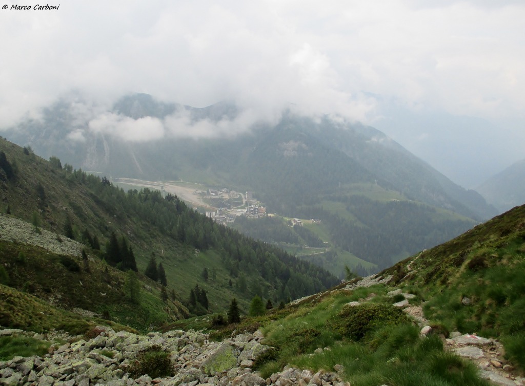 146611-img1337.jpg