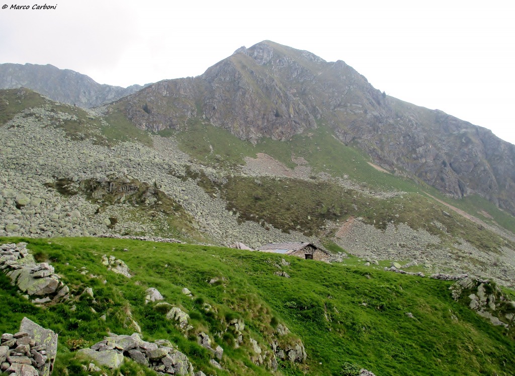 146612-img1341.jpg