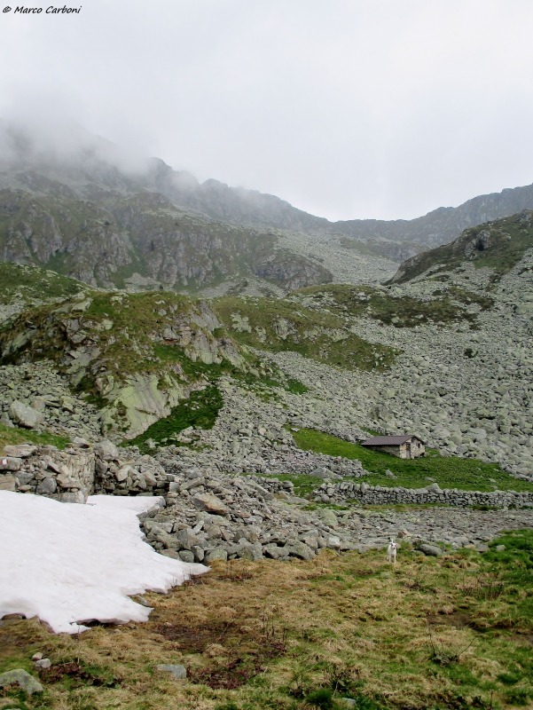 146613-img1343.jpg