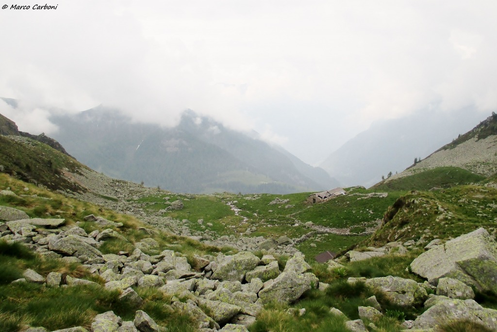 146615-img1346.jpg