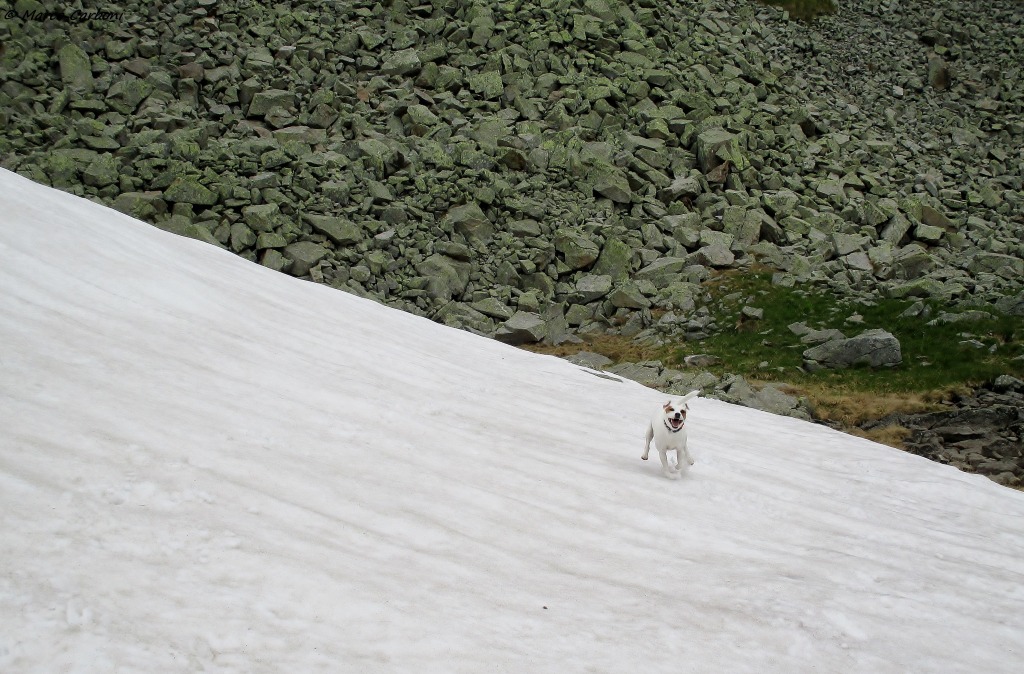 146617-img1352.jpg