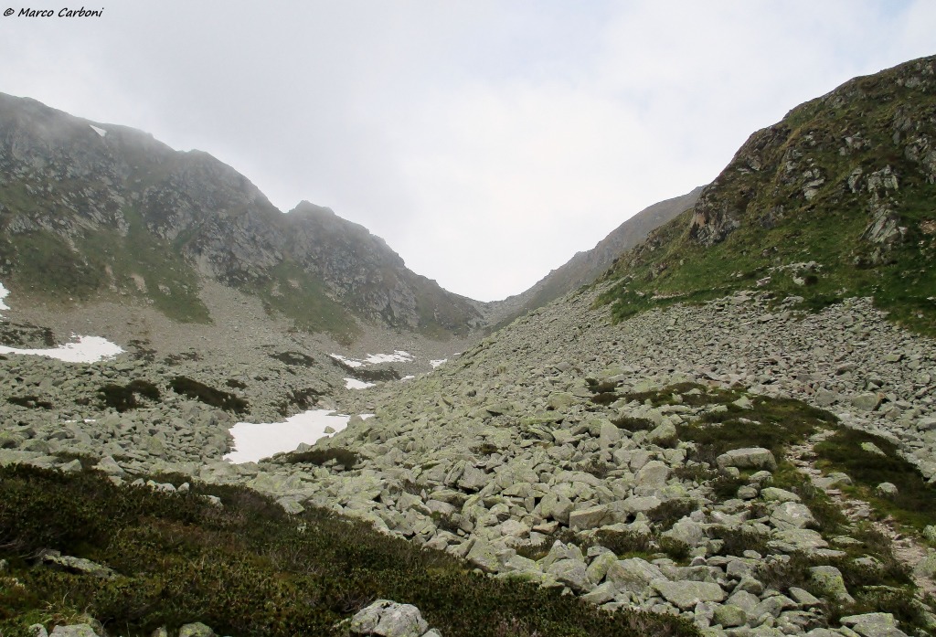 146618-img1353.jpg