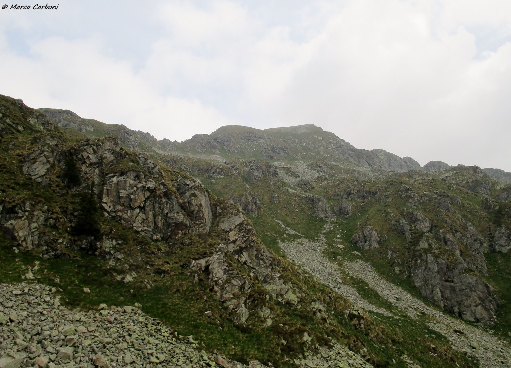 146619-img1354.jpg
