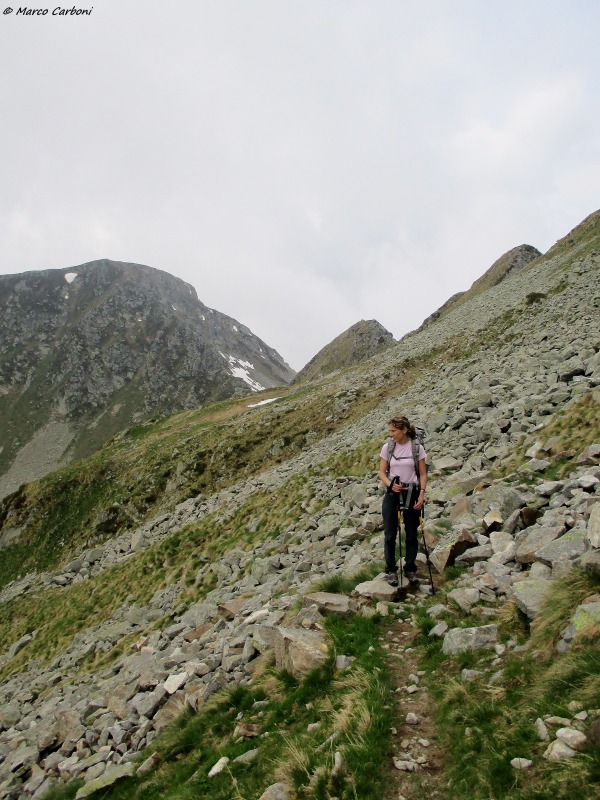 146621-img1359.jpg