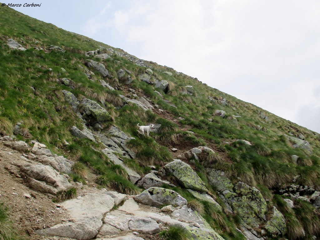 146624-img1365.jpg