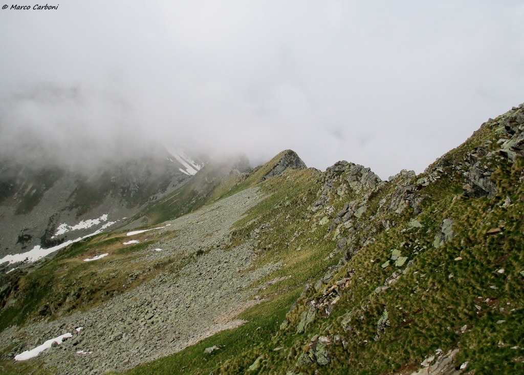 146625-img1367.jpg