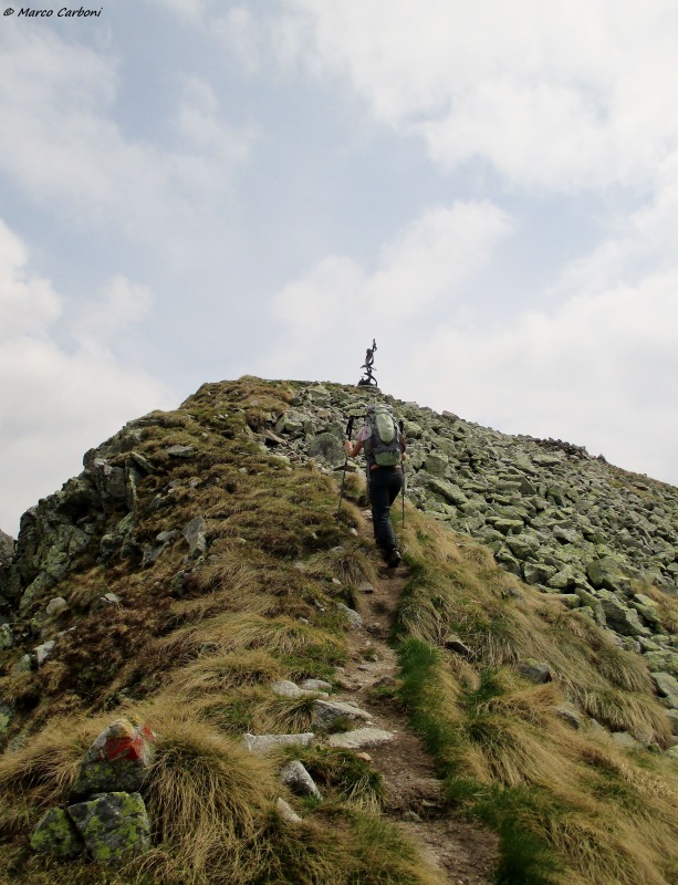 146626-img1368.jpg