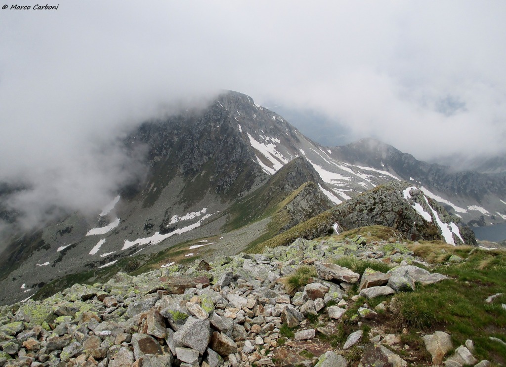 146631-img1379.jpg