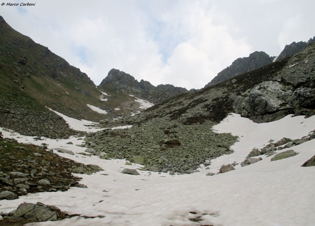 146636-img1392.jpg