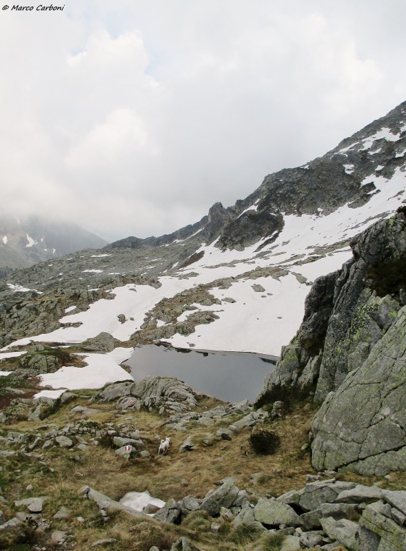 146642-img1405.jpg
