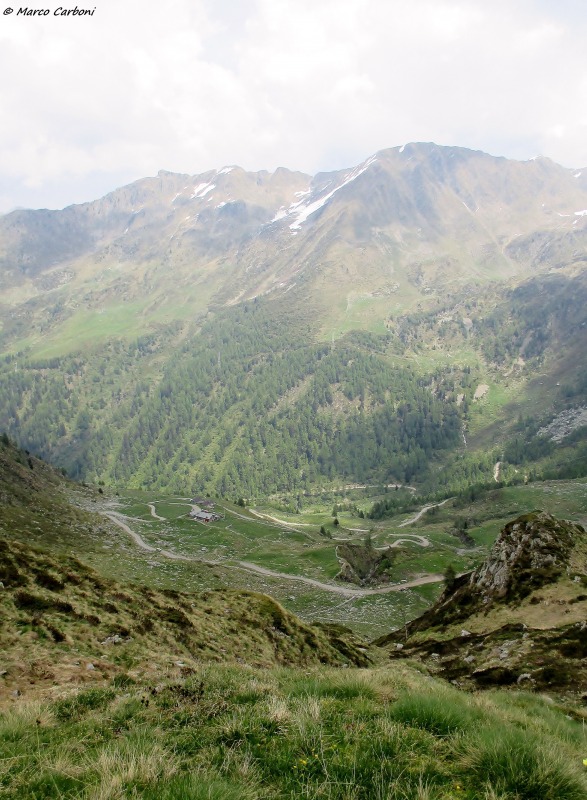 146643-img1407.jpg