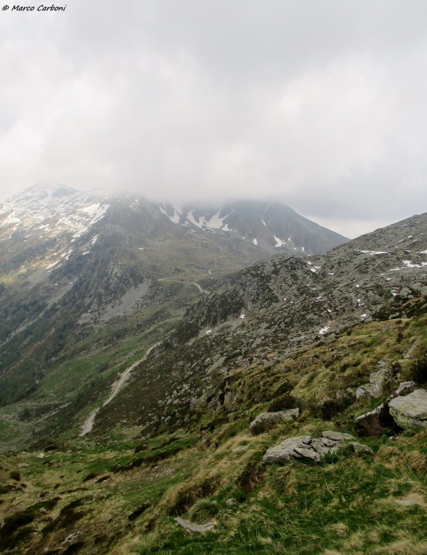 146644-img1408.jpg
