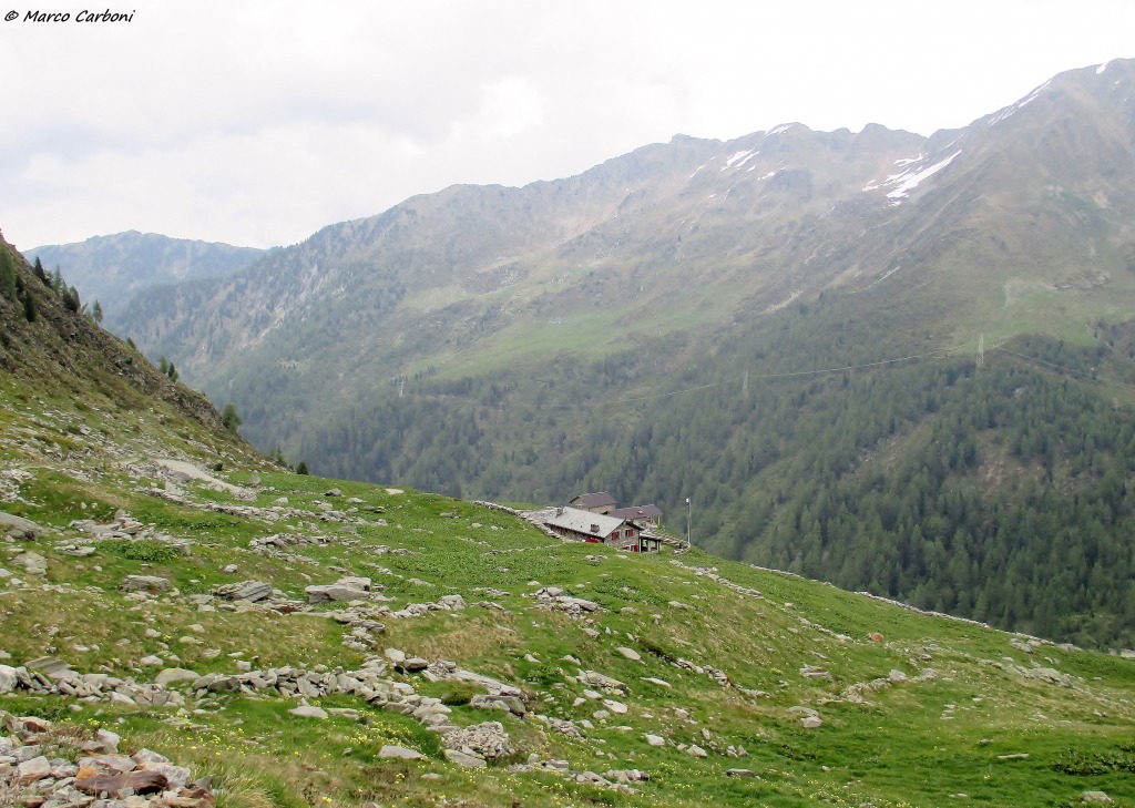 146645-img1411.jpg