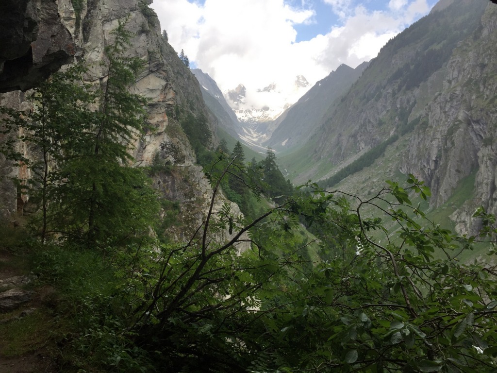 147081-gredetschtal-img4705.jpg