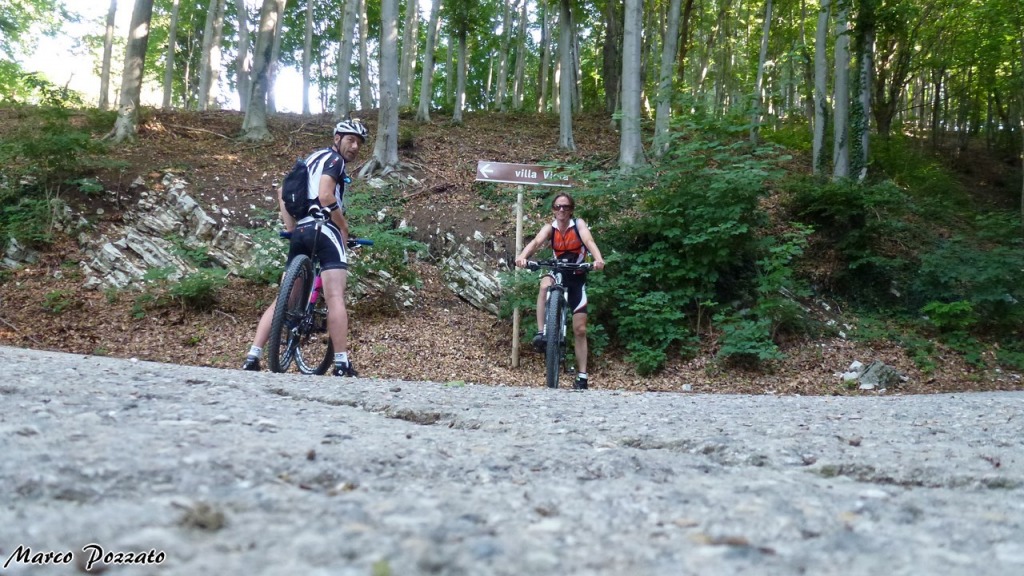 147359-p1140426-1280x768.jpg