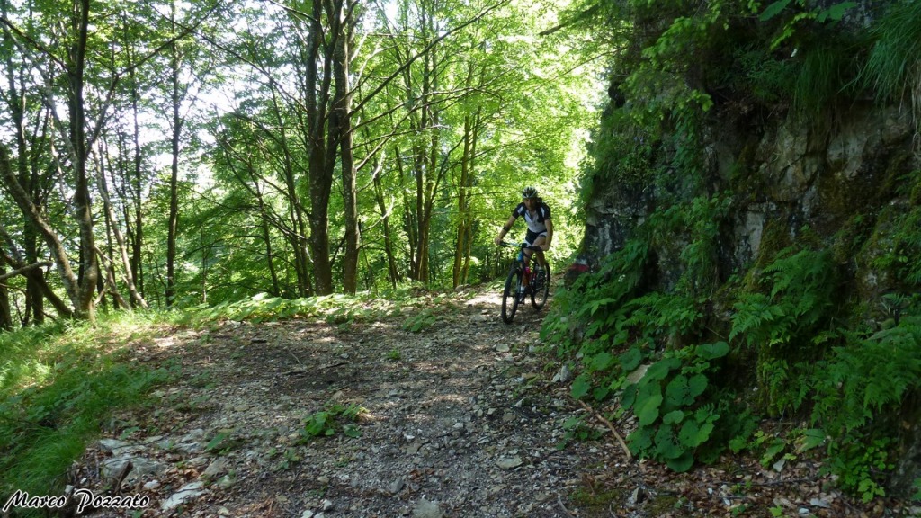 147369-p1140476-1280x768.jpg
