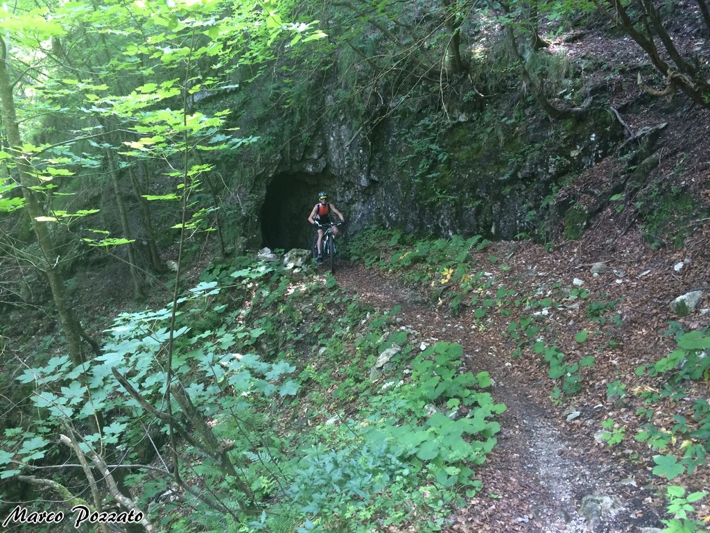 147371-2015-07-03-11.42.13-1280x768.jpg