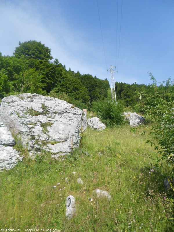 147593-baldo-0dscn6636.jpg