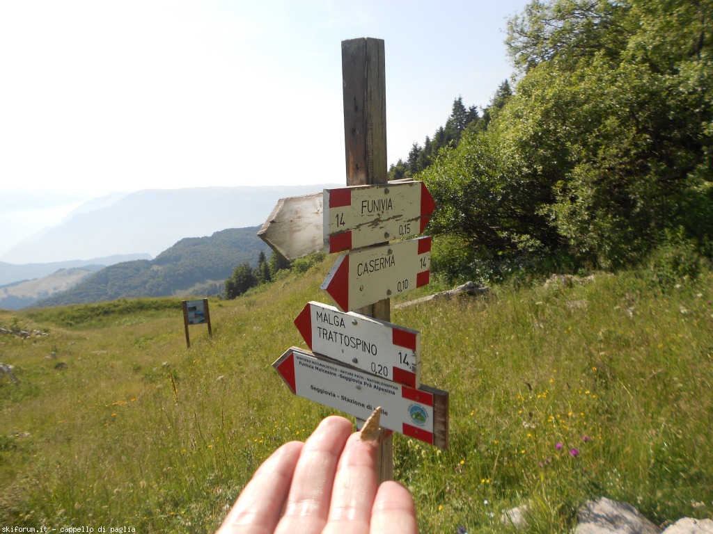 147596-baldo-0dscn6670.jpg