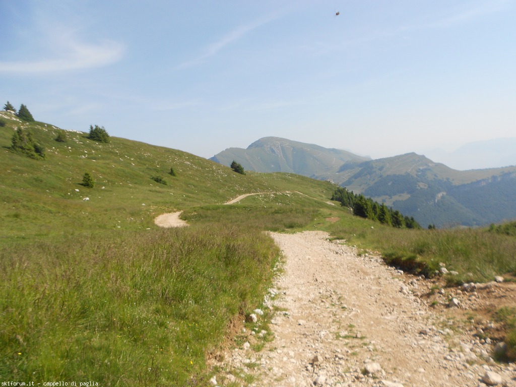 147599-baldo-0dscn6702.jpg