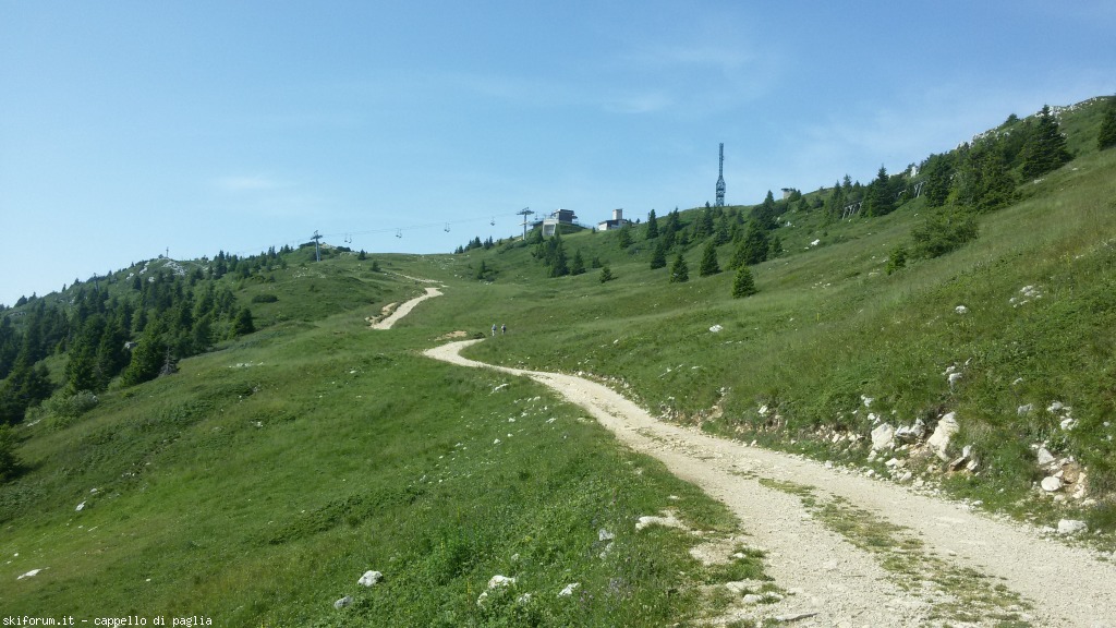 147601-baldo-20150705100055.jpg