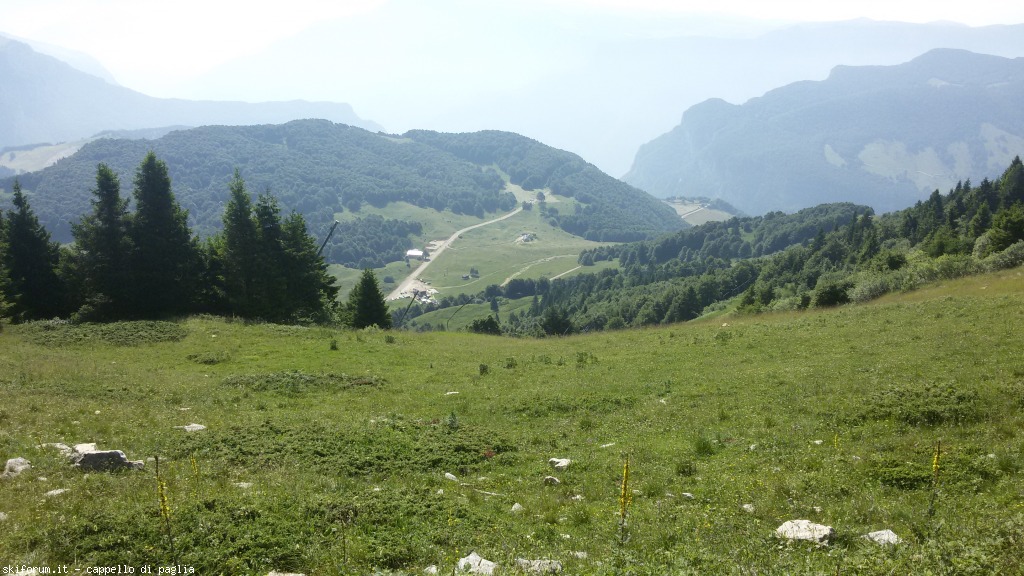 147602-baldo-20150705100105.jpg