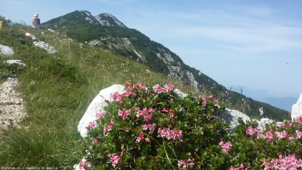 147603-baldo-20150705102714.jpg