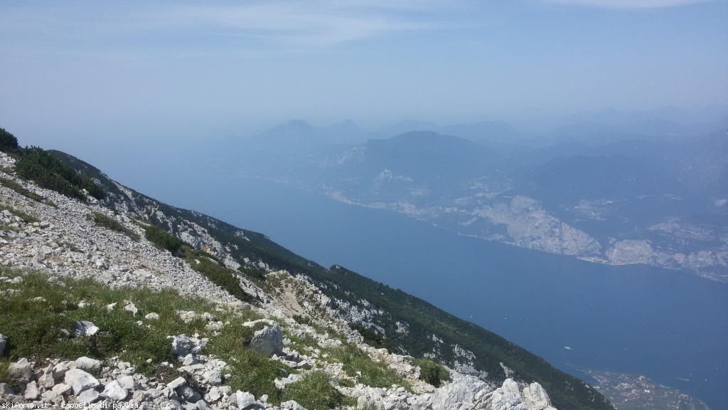 147605-baldo-20150705105839.jpg
