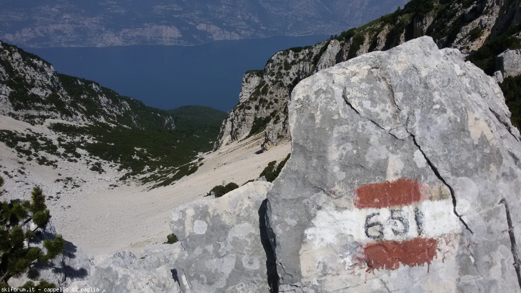 147607-baldo-20150705111914.jpg