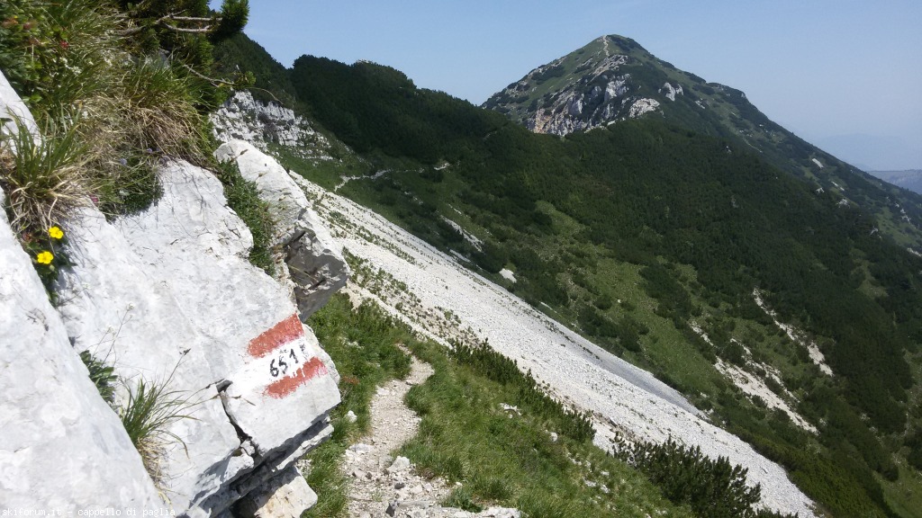 147609-baldo-20150705113410.jpg