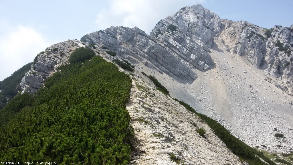147610-baldo-20150705115305.jpg