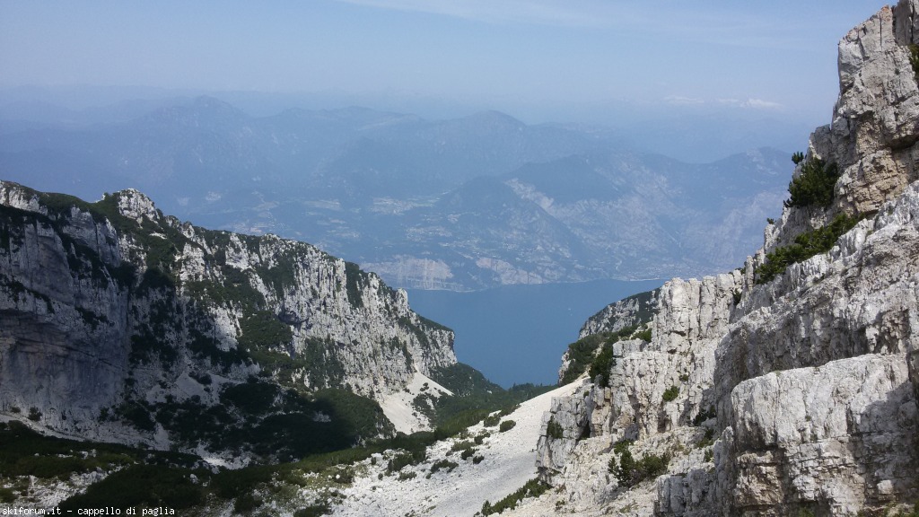 147611-baldo-20150705115323.jpg