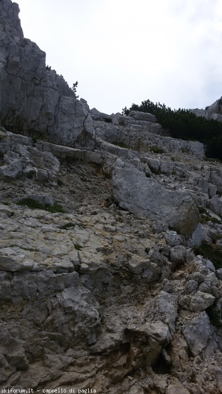 147612-baldo-20150705120058.jpg