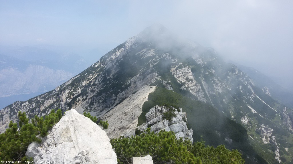 147613-baldo-20150705121450.jpg