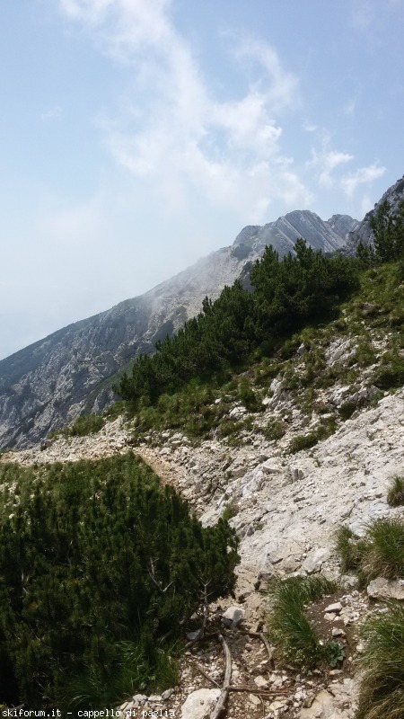 147614-baldo-20150705122244.jpg