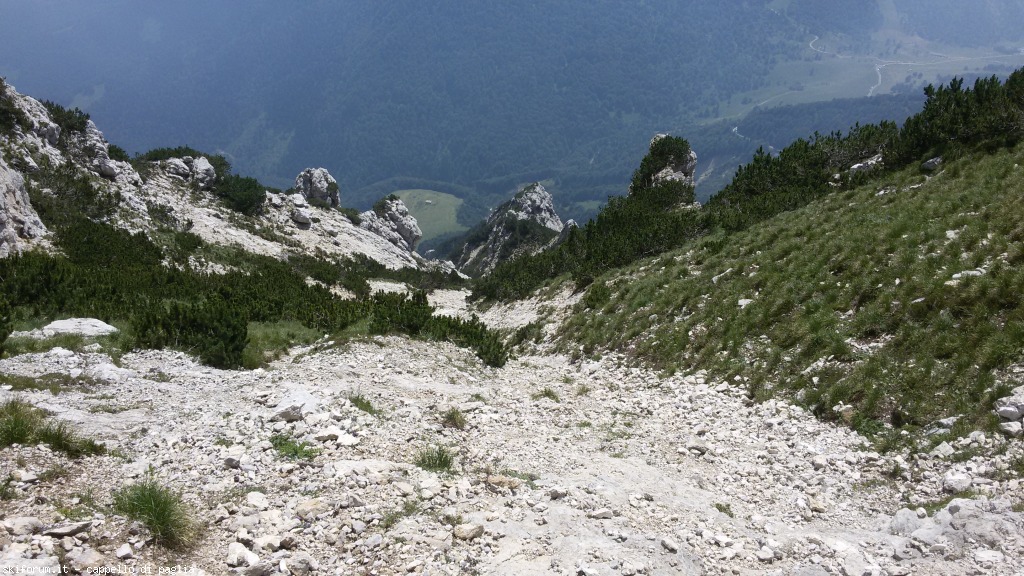 147615-baldo-20150705122329.jpg