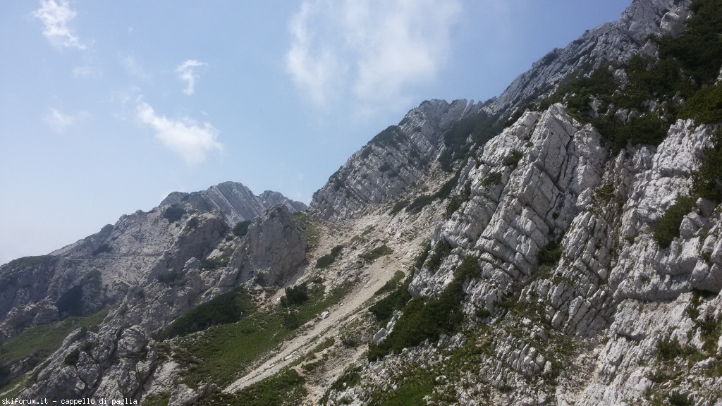 147616-baldo-20150705122453.jpg