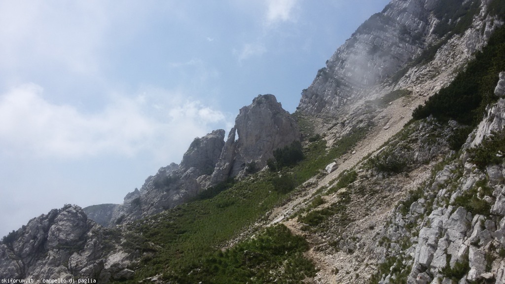 147617-baldo-20150705122746.jpg