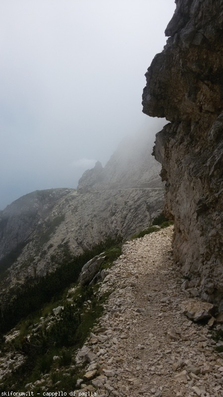 147619-baldo-20150705123910.jpg