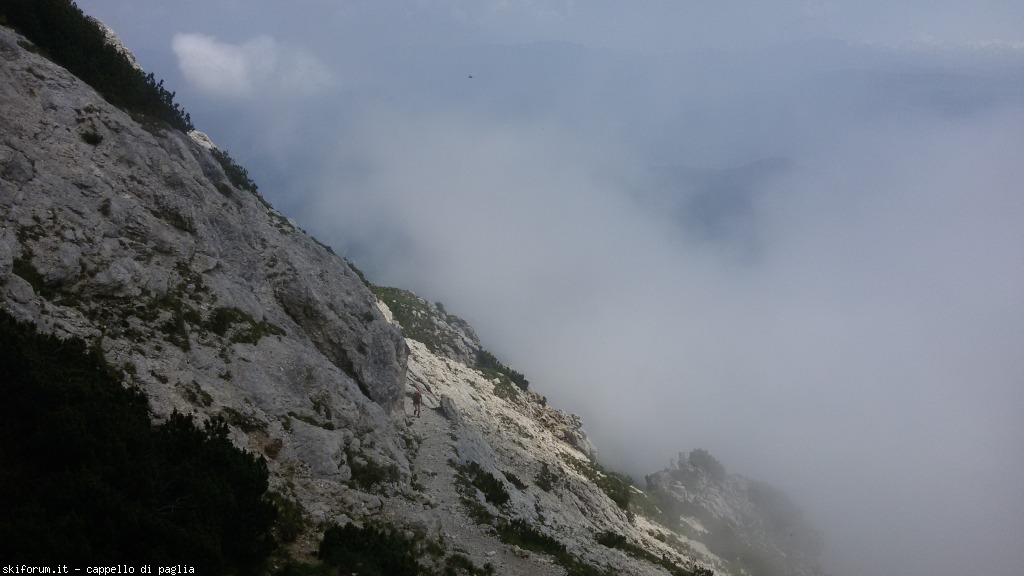 147622-baldo-20150705125107.jpg