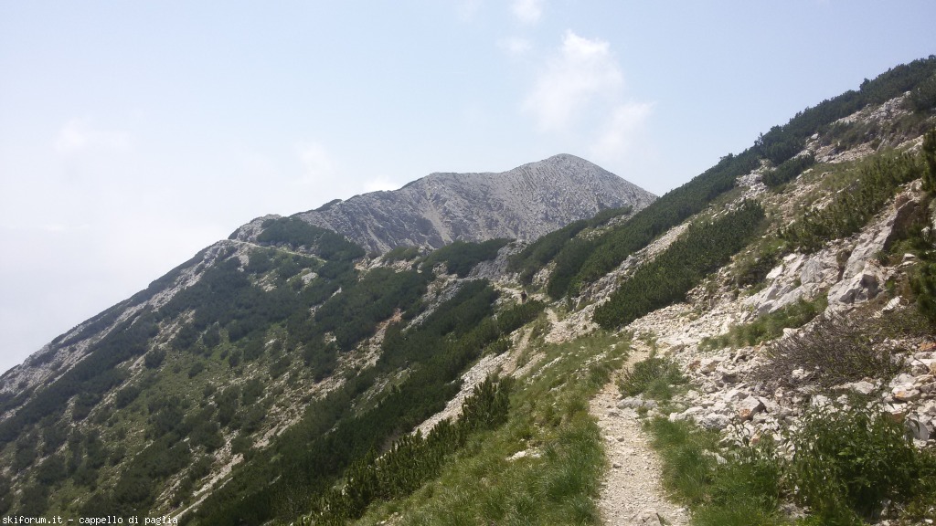 147623-baldo-20150705130041.jpg