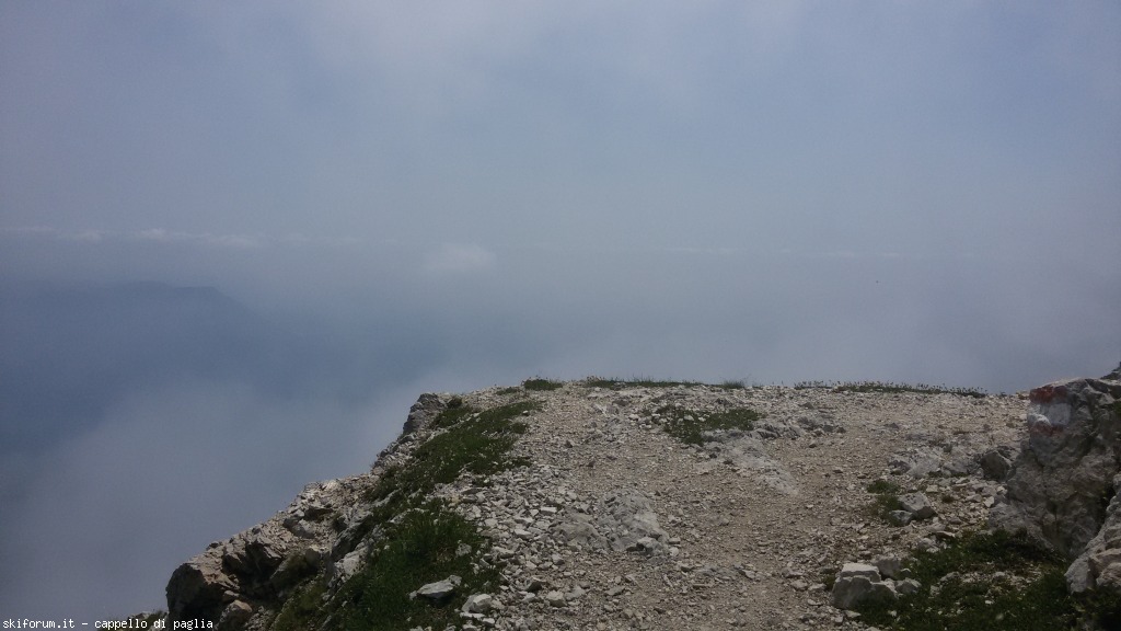 147626-baldo-20150705130704.jpg